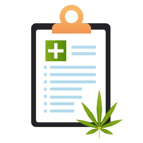 Cannabis Legalisierung Deutschland - Alle Infos Für Händler